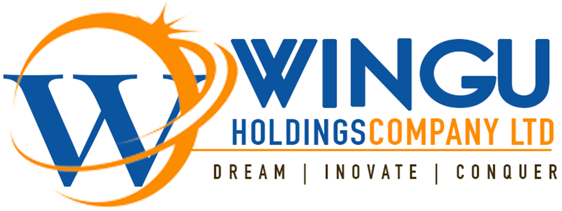 wingu-holdings-limited.png