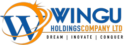 Wingu Holdings (K) ltd